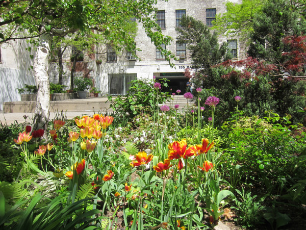 Courtyard Garden funded by Westbeth Beautification Commitee