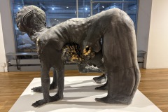Stephanei Hanes