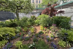 GARDEN-VIEW