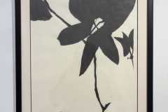 SUSAN ROWE HARRISON "FLOWER NOT FLOWER' 2023