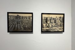 IMG_7316-3