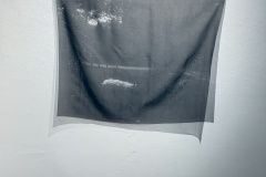 IMG_7317-2