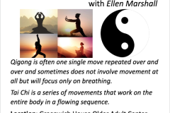 QIgong and Tai Chi classes Screen-Shot-2024-06-13-at-1.45.12-PM