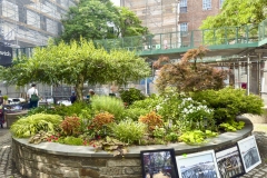 Courtyard-Garden-1