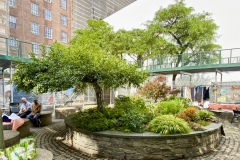Courtyard-Garden-3